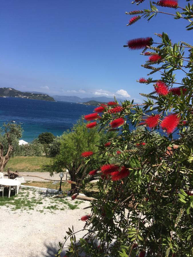 Vassilias Beach فاسيلياس المظهر الخارجي الصورة